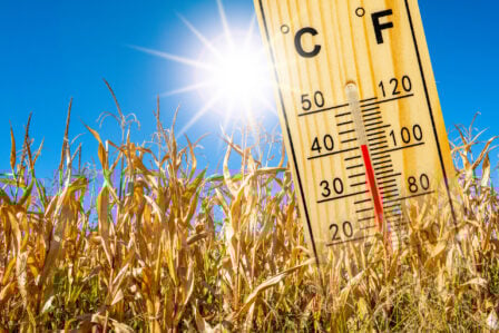 Hp (1) 2025 06 18t114408.067