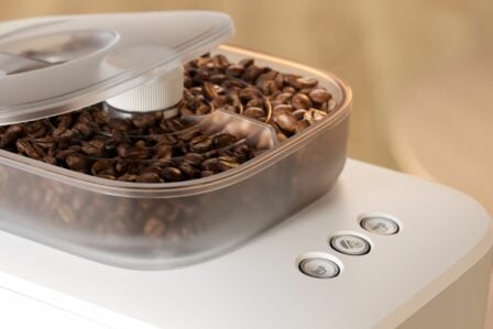 Baristina Variety