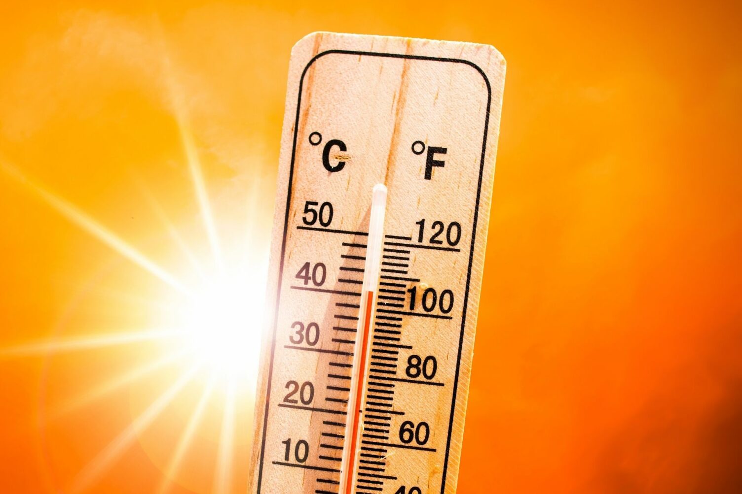 Canicule à partir de quelle température peuton mourir de chaud — free download