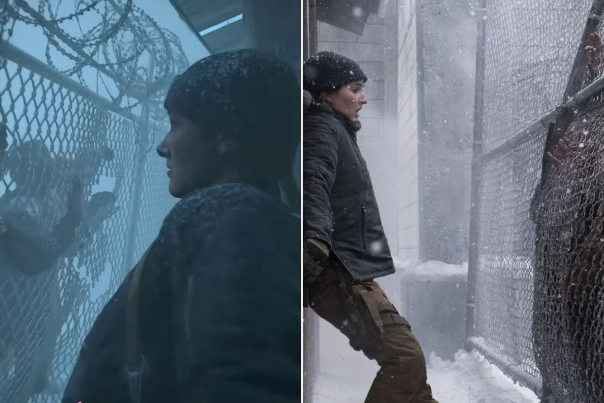 The Last Of Us Differences Serie Jeu Video