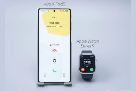 Vivo Apple Watch