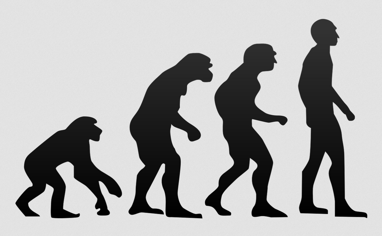 Evolution
