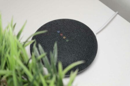 Google Home Mini Assistant