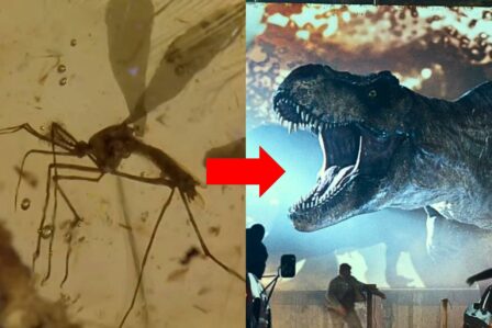 Jurassic Park Moustiques