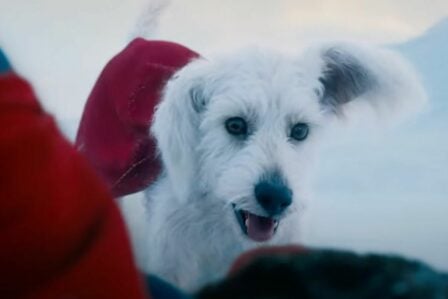 Krypto