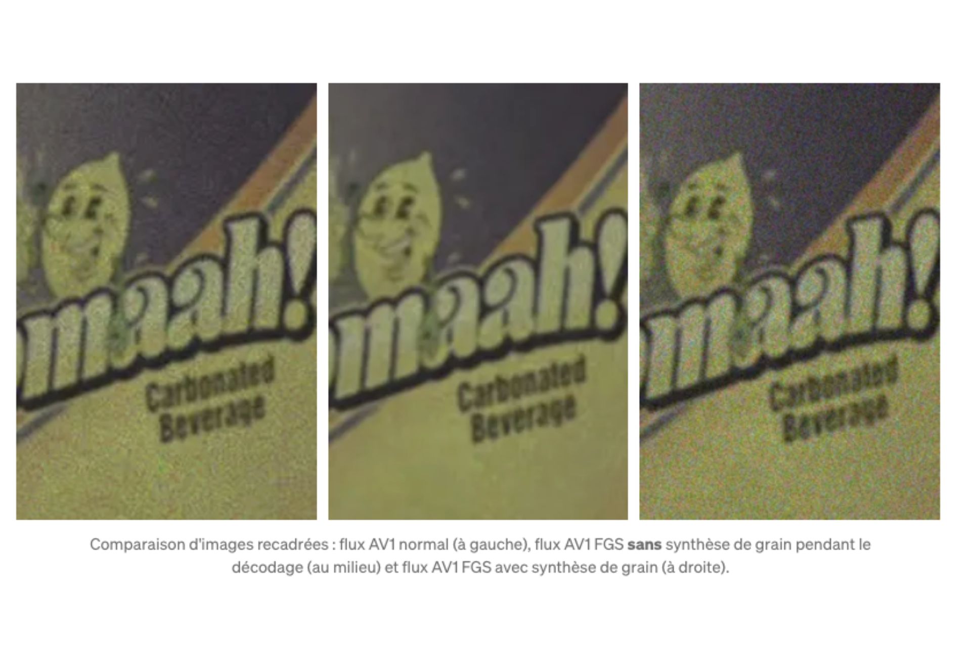 Netflix Corrige Son Plus Gros Défaut 2