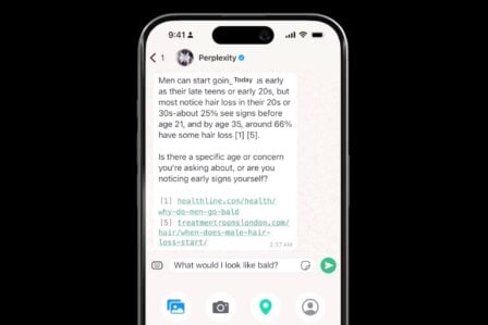 Perplexity Whatsapp
