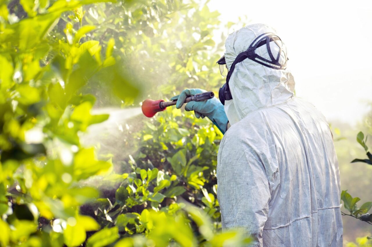 Pesticide
