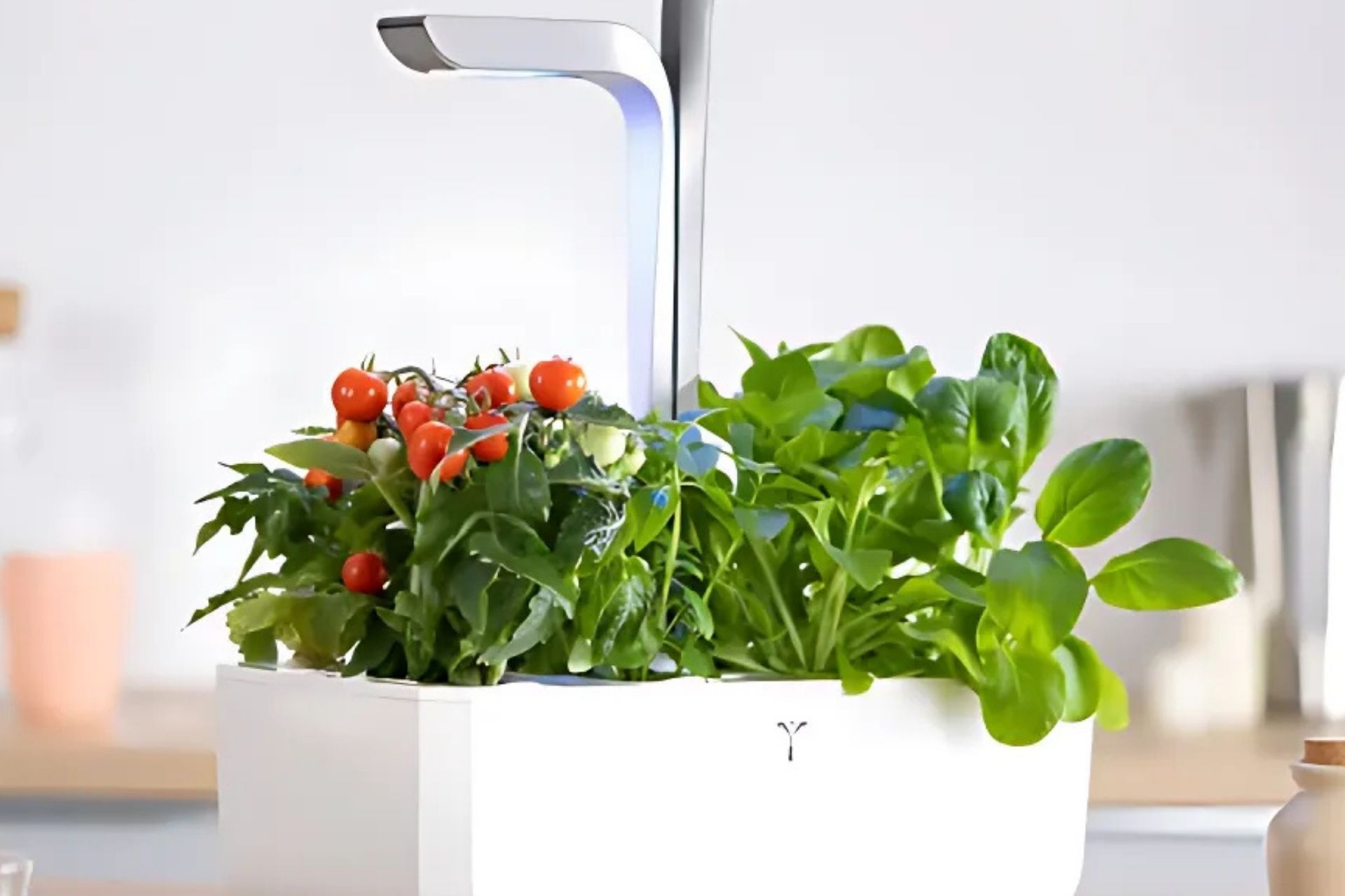 Potager