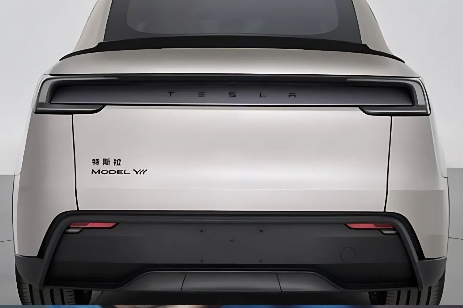 Tesla Model Yl (1)