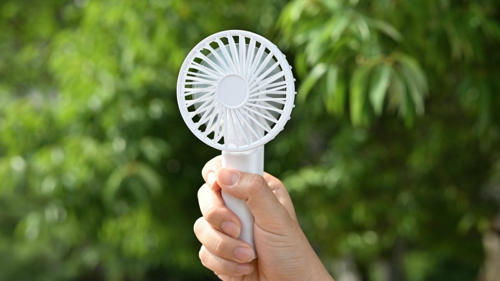 Canicule combien coûte vraiment un ventilateur qui tourne toute la nuit — free download