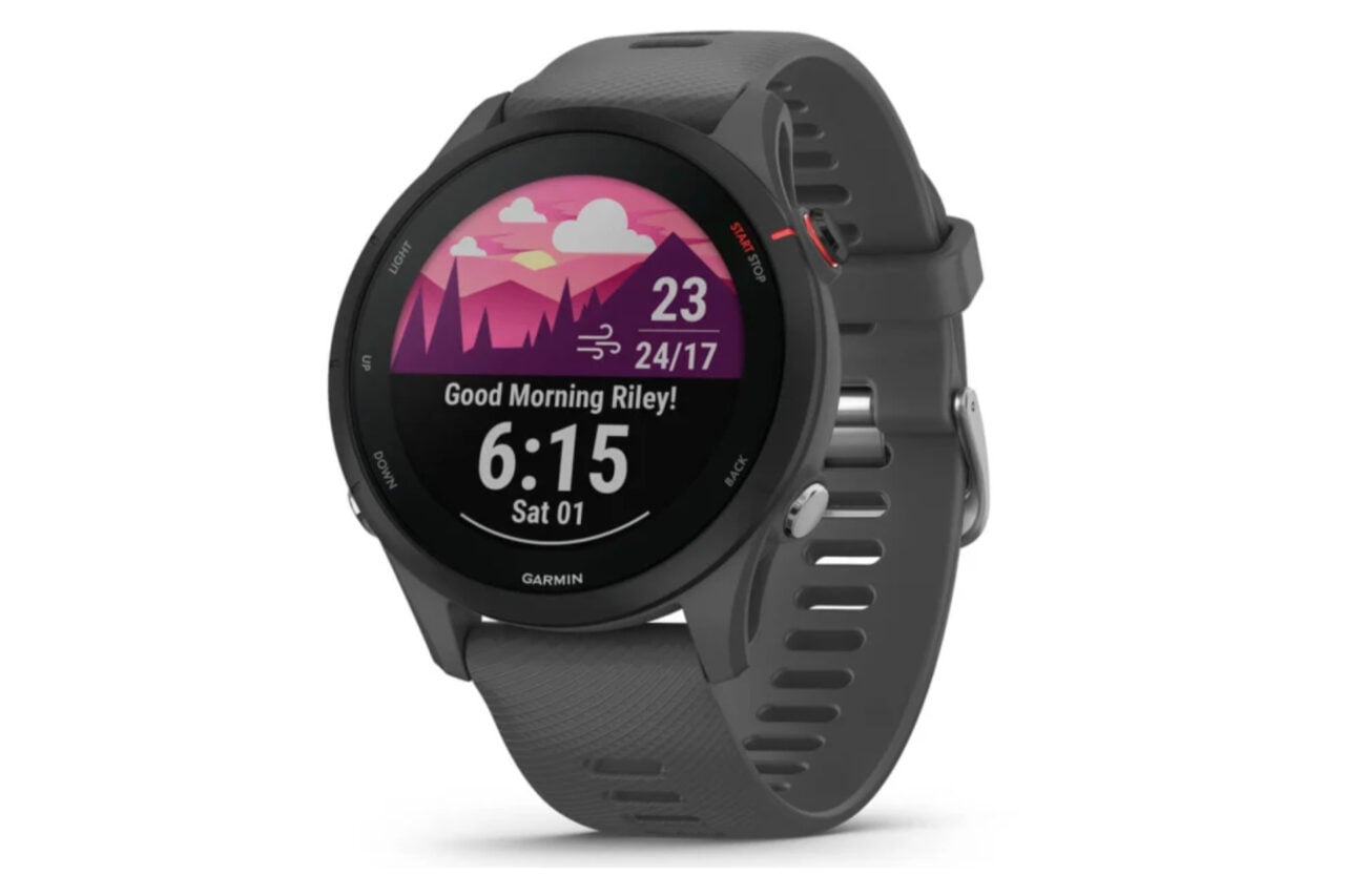 Garmin Forerunner 255