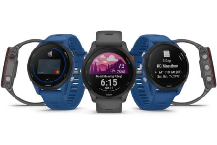 Garmin Forerunner 255