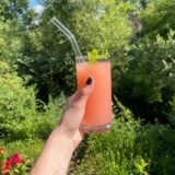 Ninja Slushi (2)