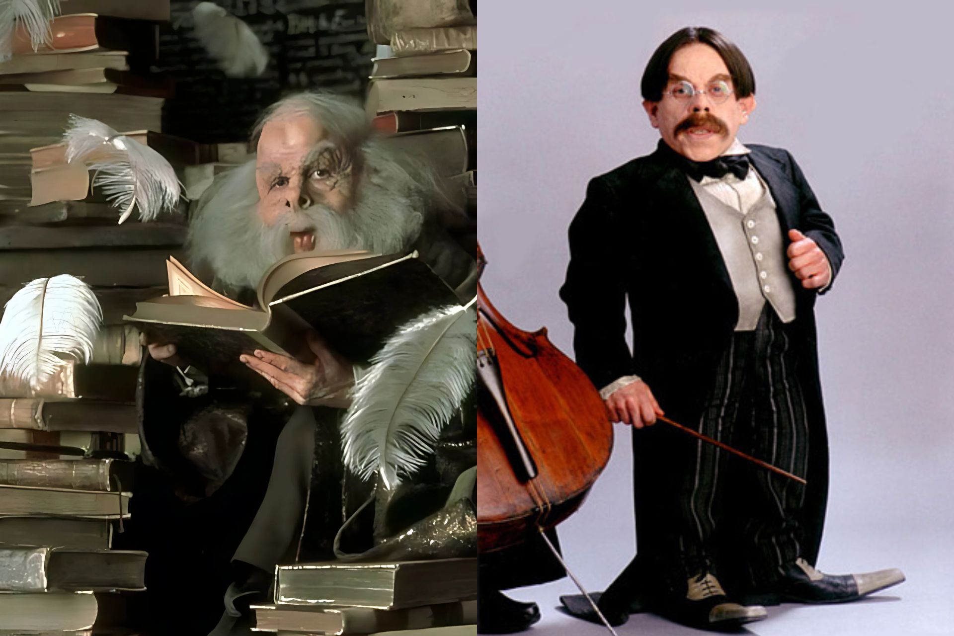 Harry Potter Flitwick