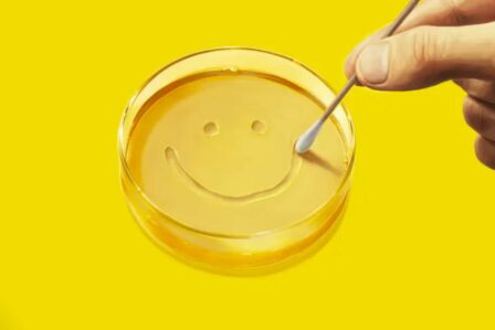 Pluribus Breaking Bad Créateur