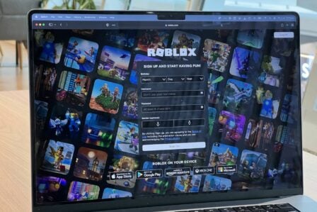 Roblox Identité