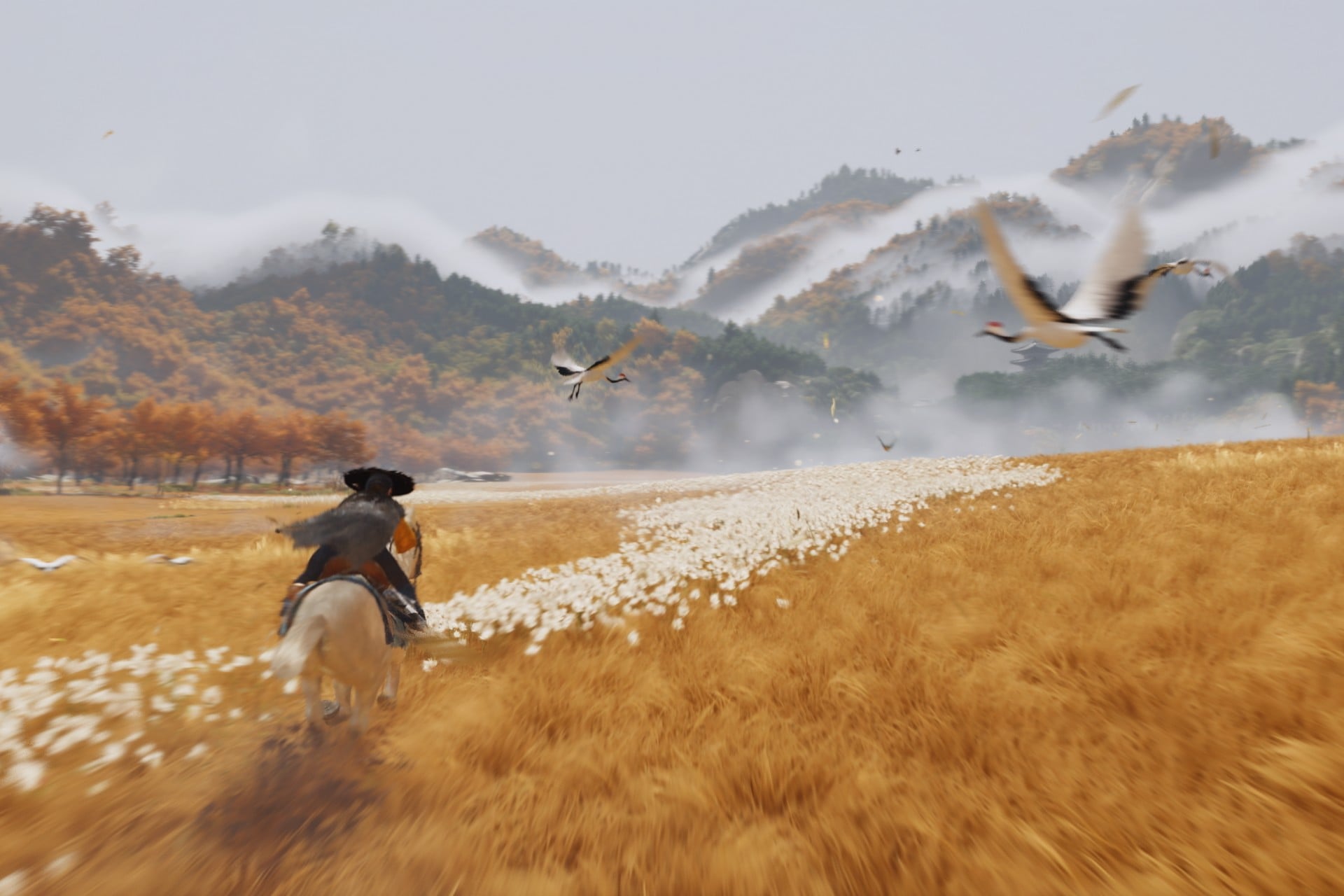 Test Ghost of Yotei : après la claque Tsushima, le fantôme a-t-il toujours le katana aiguisé ?