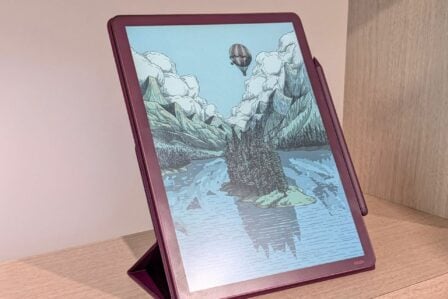 Kindle (10)