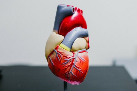 Coeur