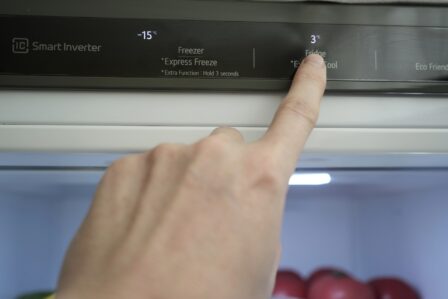 frigo