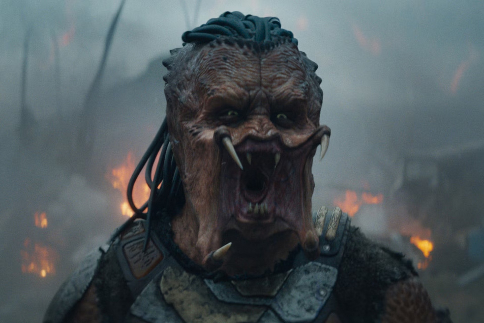 Critique Predator&nbsp;: Badlands – la licence a-t-elle encore une gueule de porte-bonheur&nbsp;?