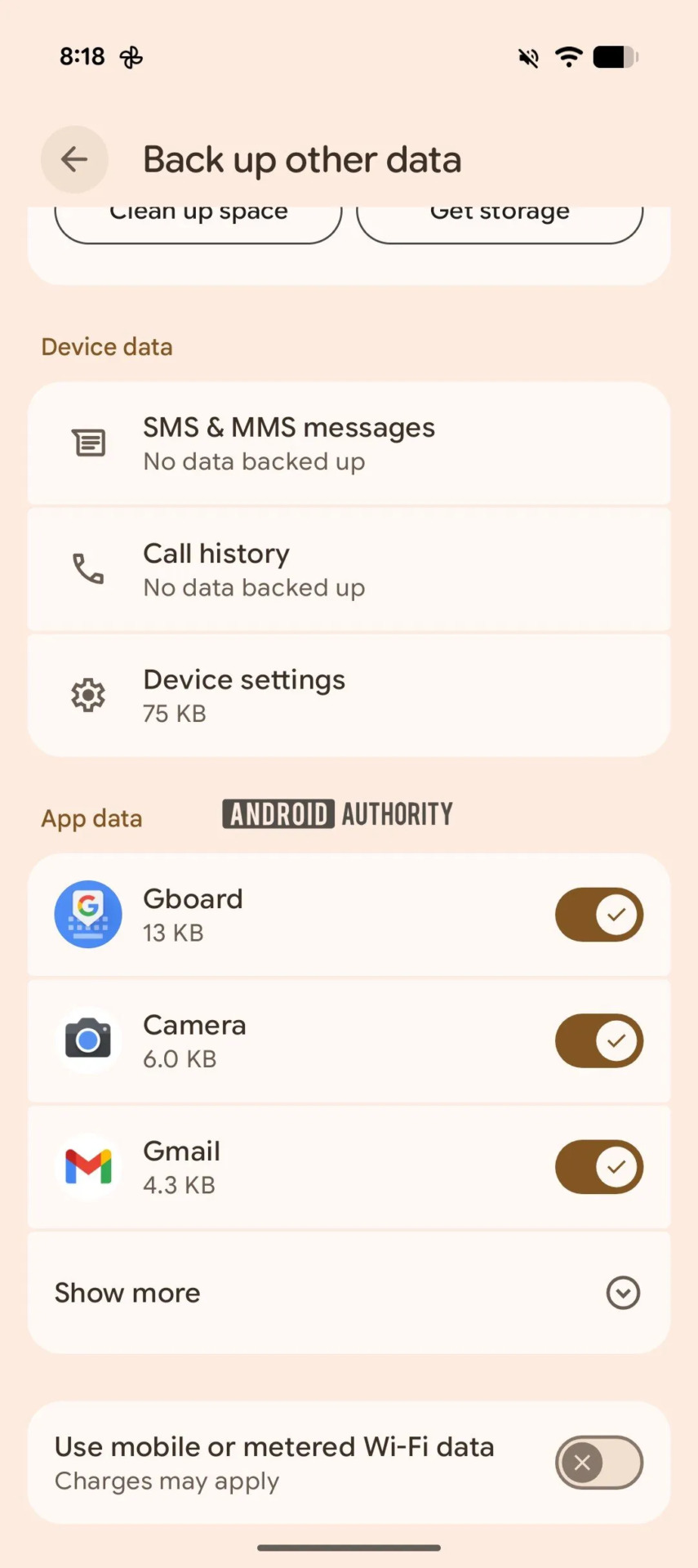 Google Backup
