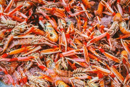 Langoustine