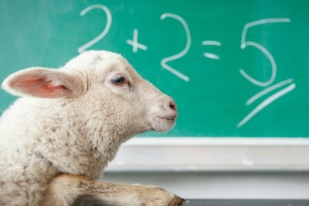 Mouton