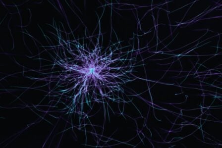 Neurones