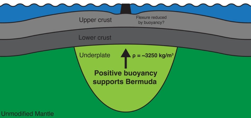 Undeplate Bermudes