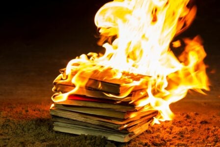 Livre Feu