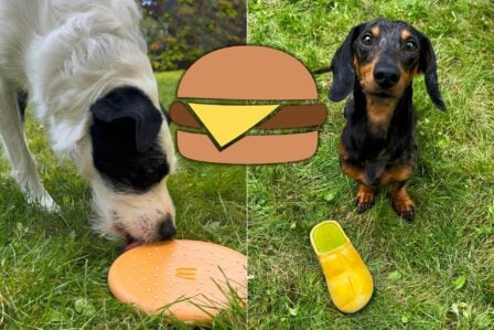 Mcdonalds Chien Happy Doggy