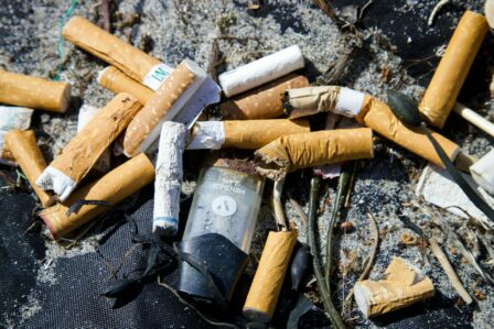 Mégot, Cigarette