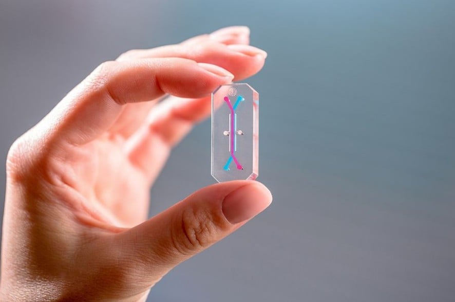 Organ Chip Avatar