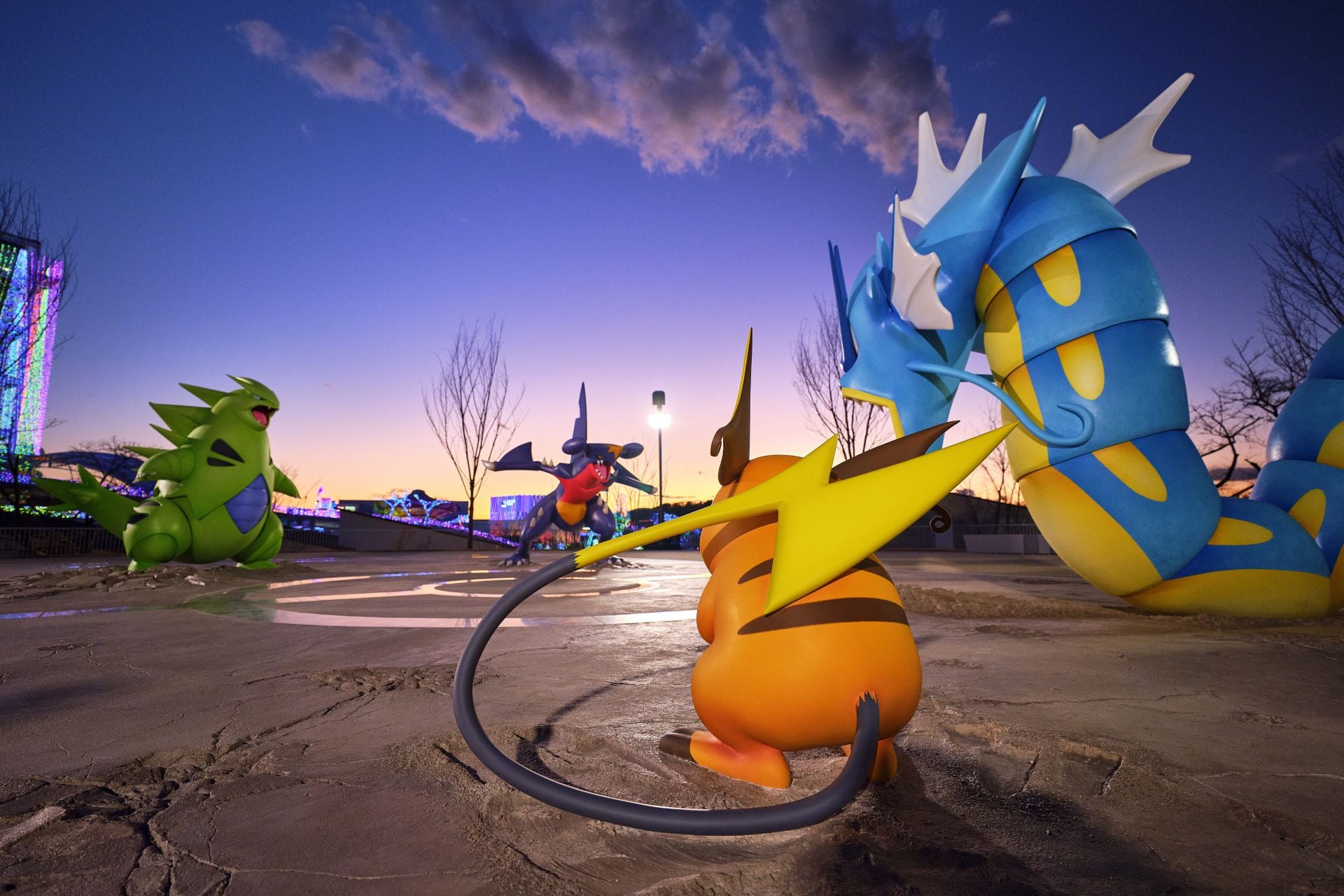 Pokémon Poképark Arène Combat
