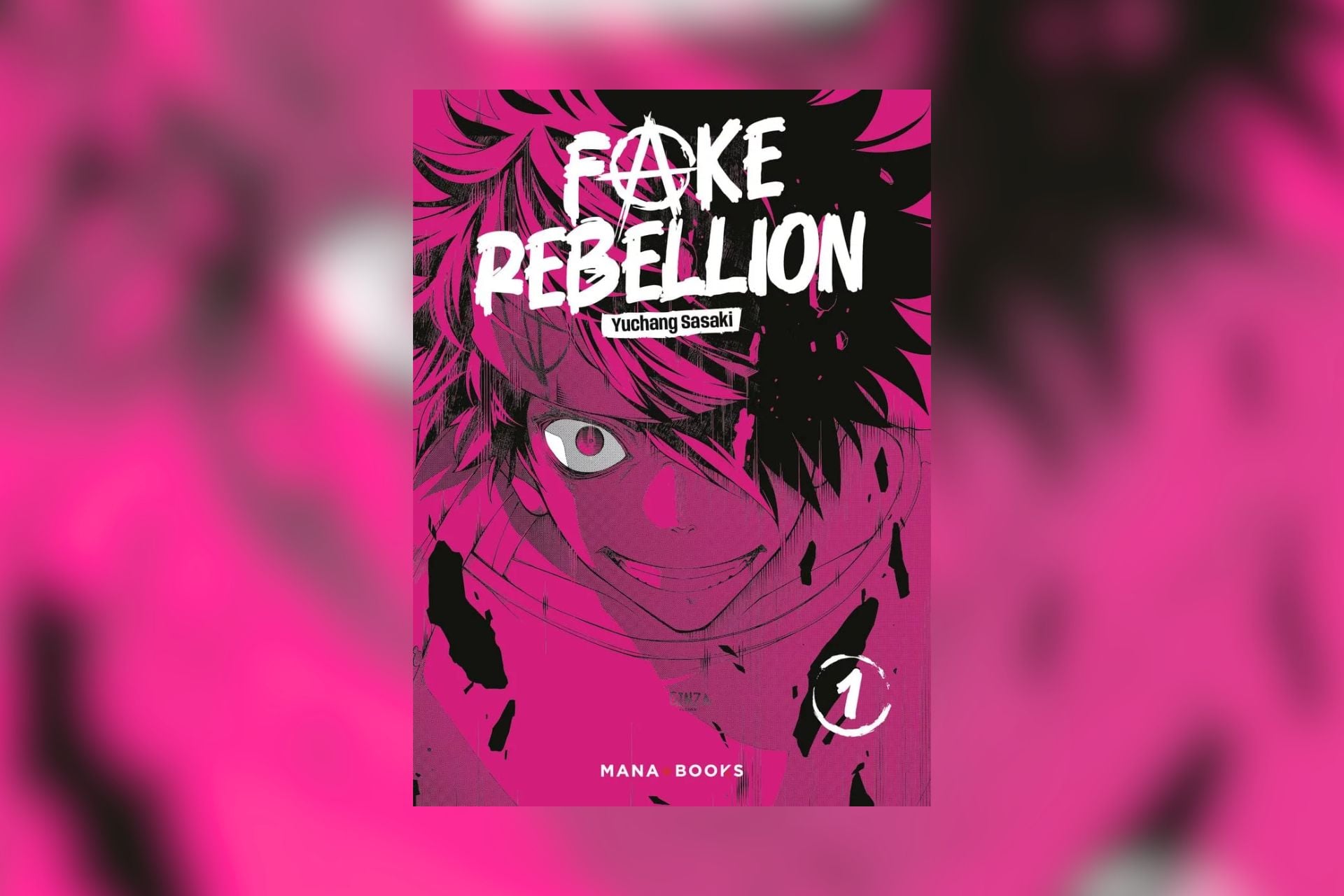 Sélection Manga (3)
