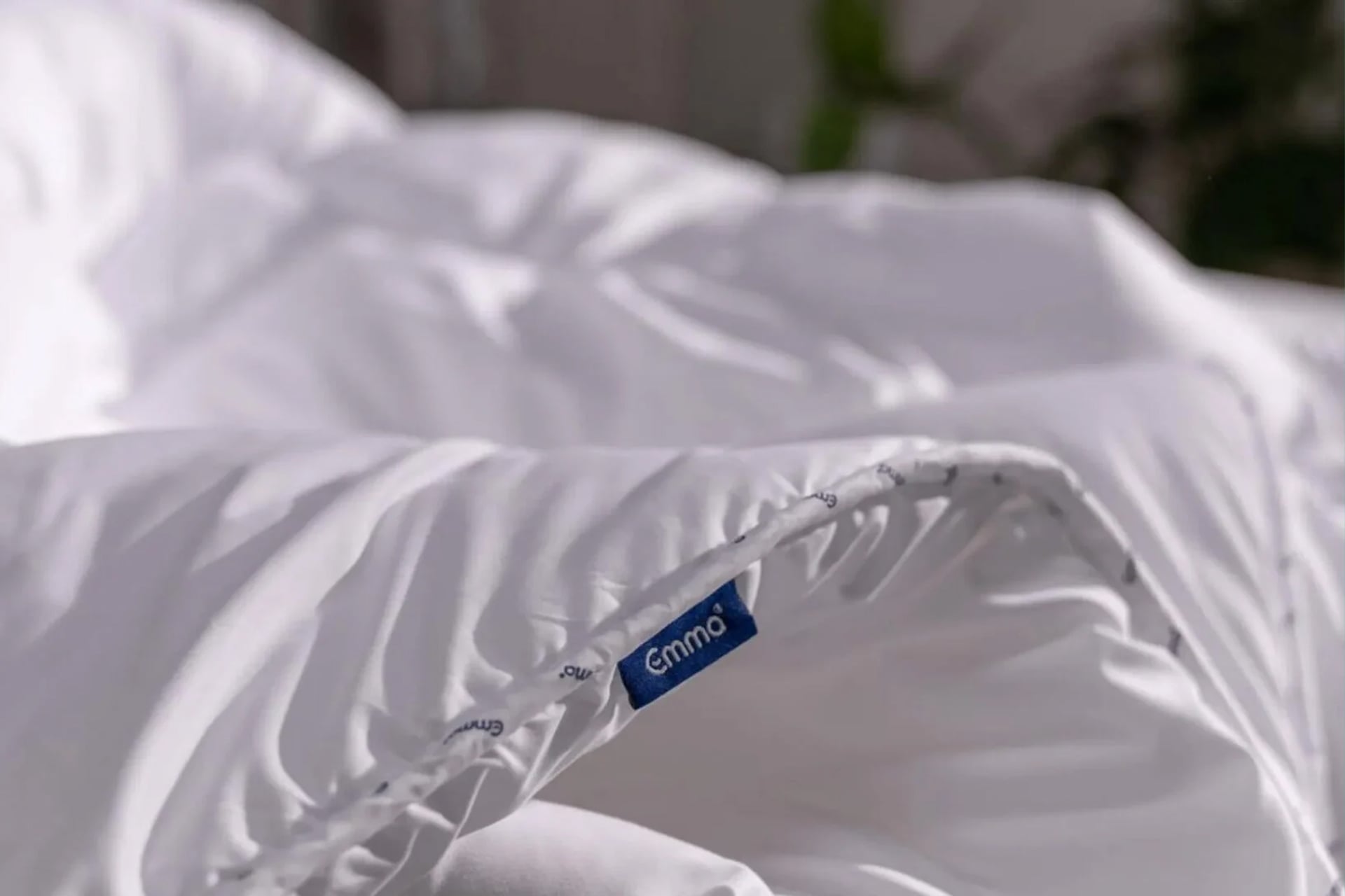 Bp Emma Pc Janvier 2026