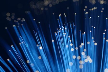 Fibre