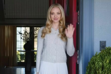 La Femme De Ménage Amanda Seyfried Suite