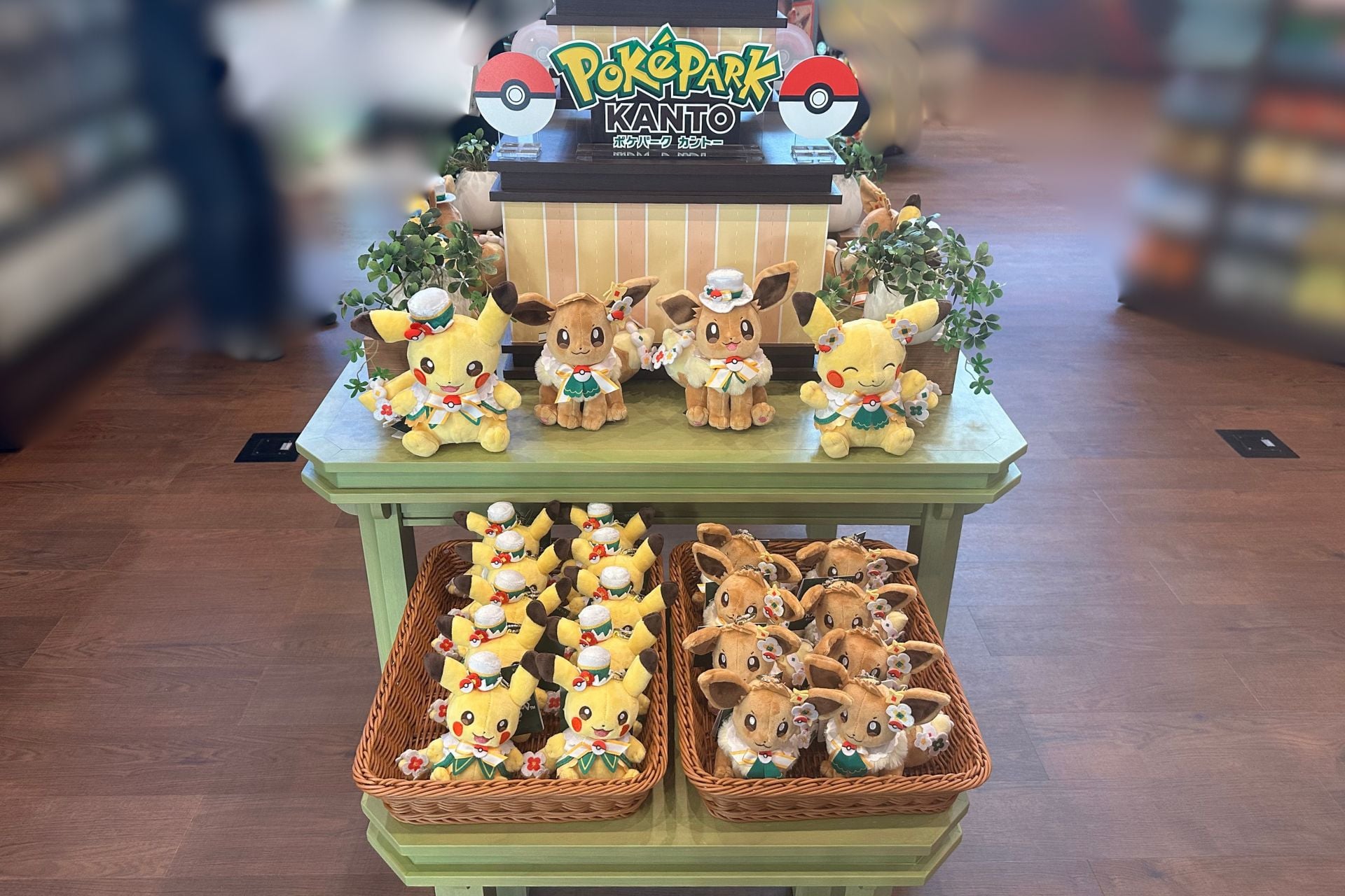 Merchandise Pokepark Kanto Photo