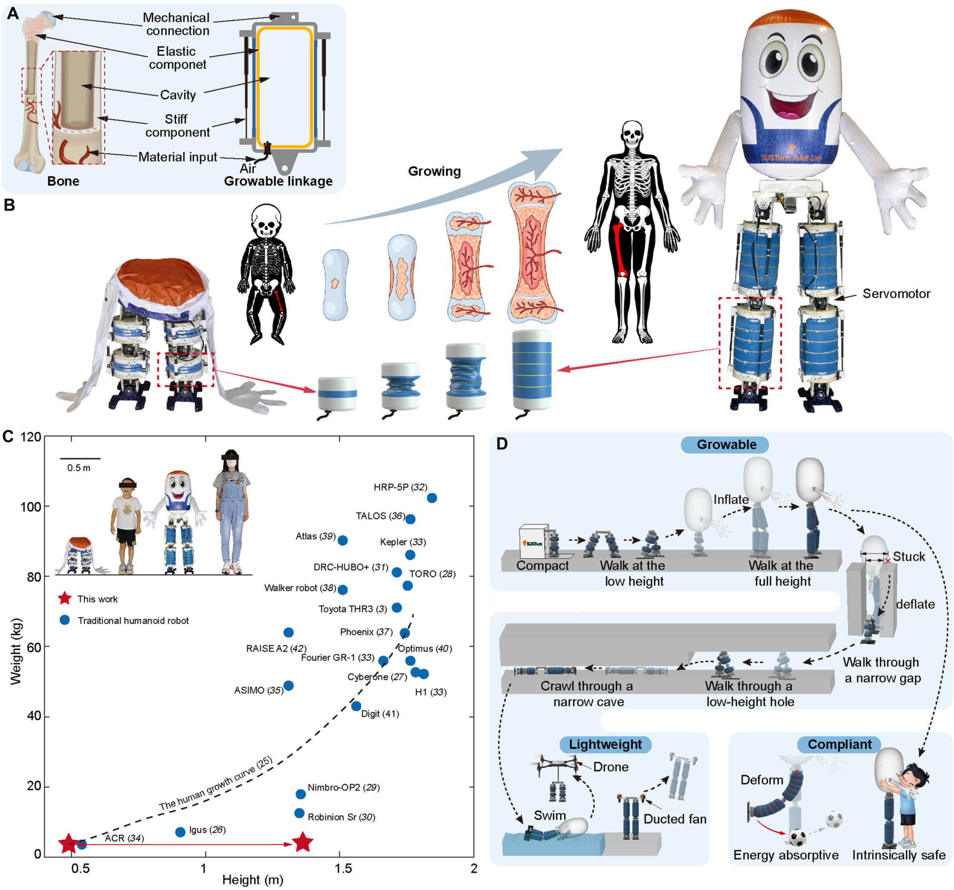 Robot Gonflable 2