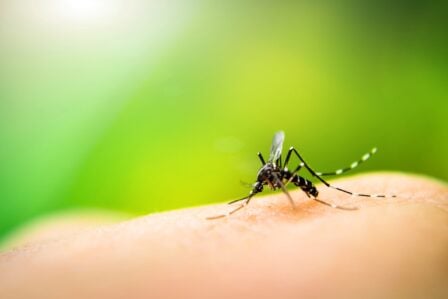 Hp (1) 2026 02 16t161348.983