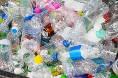 Hp (1) 2026 02 17t183624.227