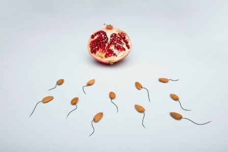 Reproduction