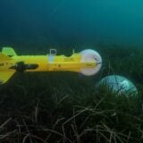 Mine sous-marine neutralisée par la technologie de déminage française en mer