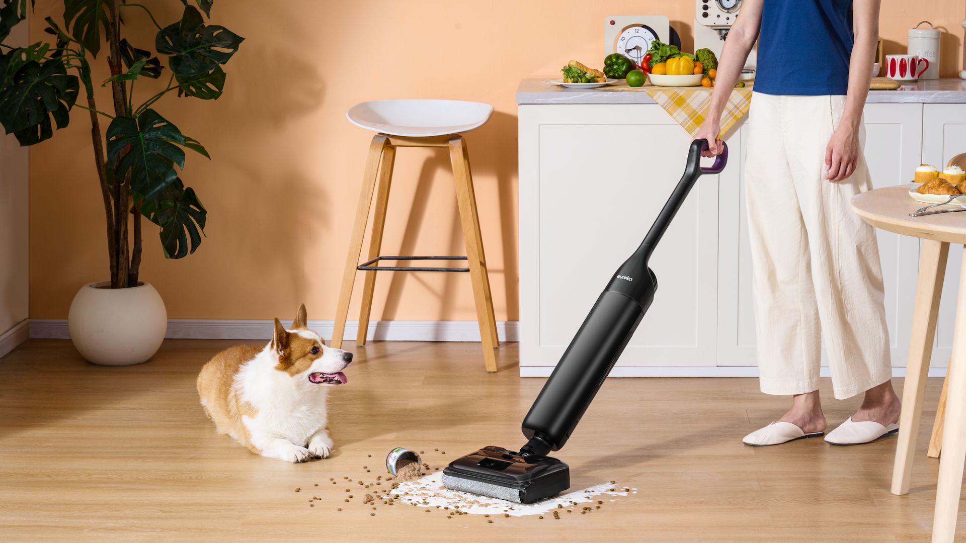 Eureka Floorshine 460