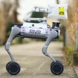 Robot Rivr