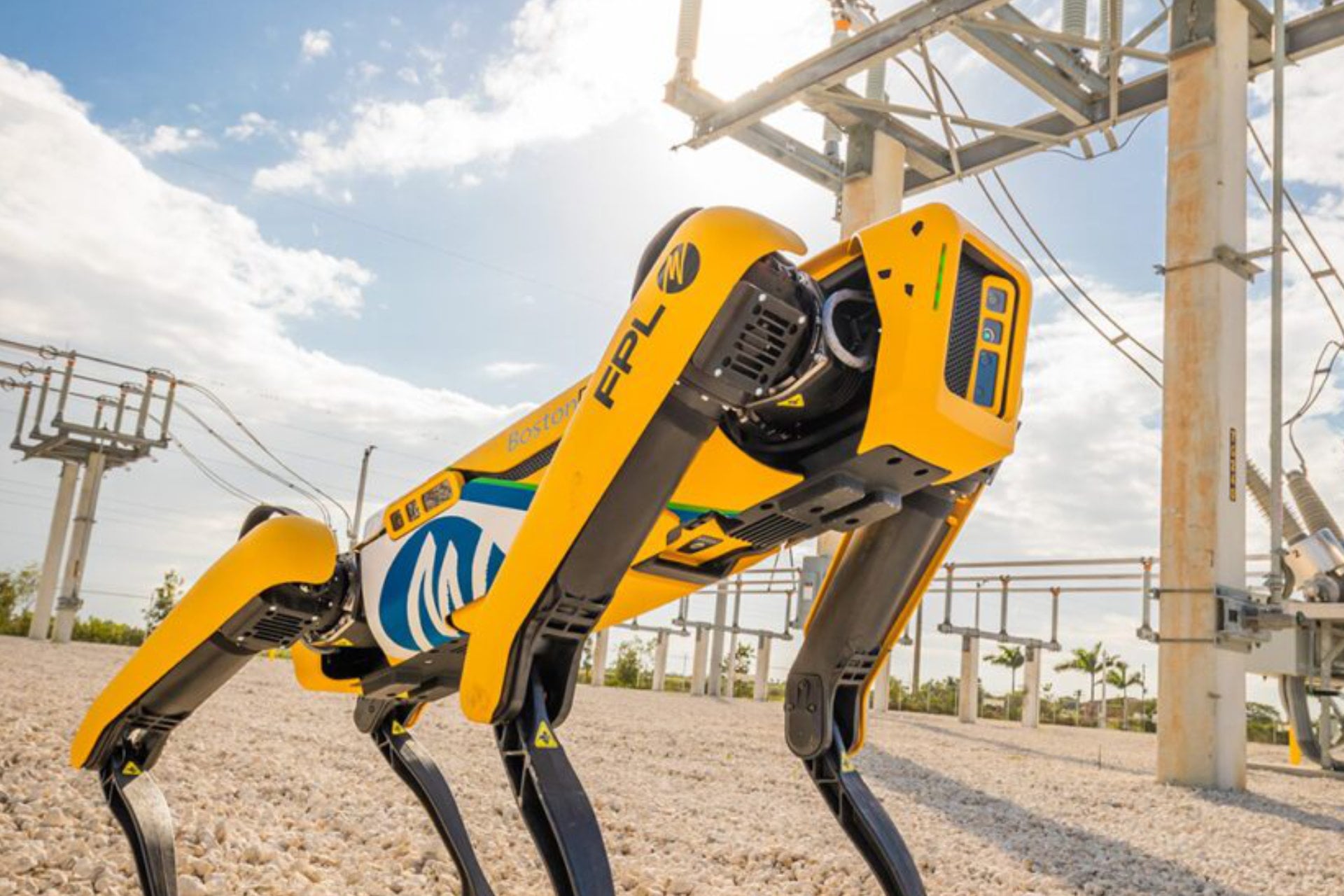 Robot Chien Ia Data Center