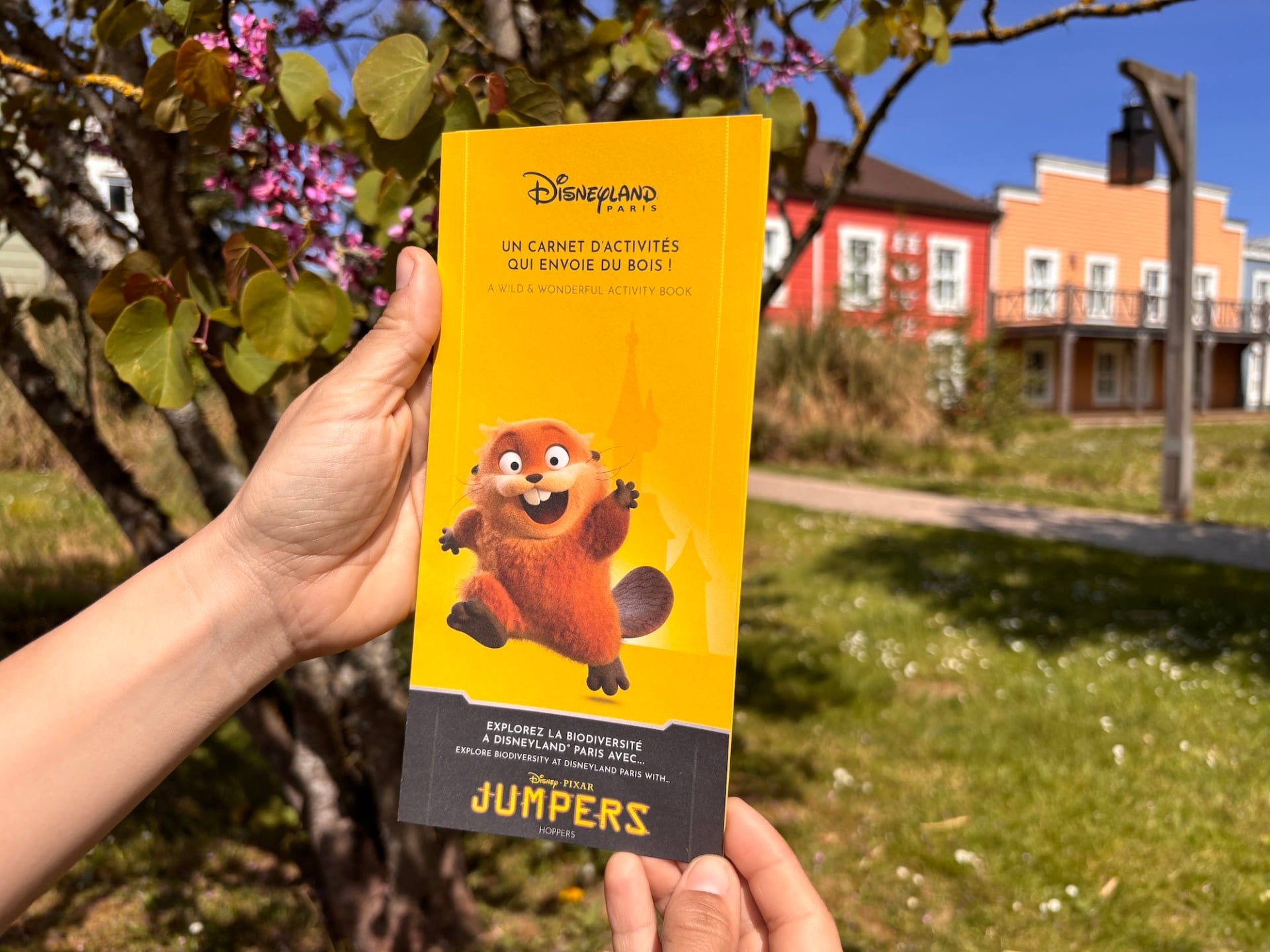 Mois De La Terre Disneyland Paris